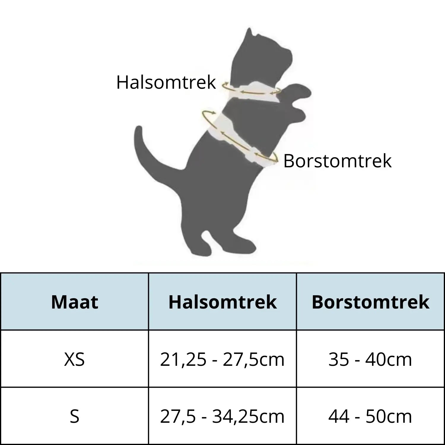 Kattenharnas & Lijn set | Verstelbaar en Comfortabel